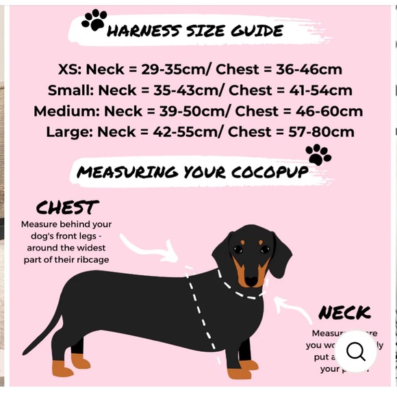 Cocopup London medium dog harness - Picture 5 of 5